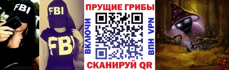 Галлюциногенные грибы Psilocybe  Ермолино 